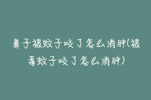 鼻子被蚊子咬了怎么消肿(被毒蚊子咬了怎么消肿)