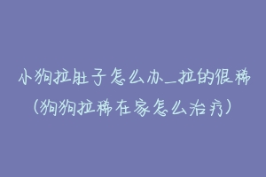 小狗拉肚子怎么办_拉的很稀(狗狗拉稀在家怎么治疗)