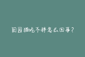 田园猫吃不胖怎么回事？