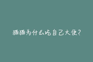 猫猫为什么吃自己大便？