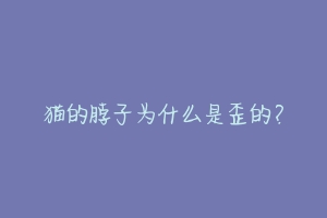 猫的脖子为什么是歪的？