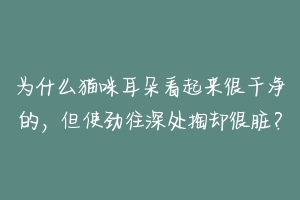 为什么猫咪耳朵看起来很干净的，但使劲往深处掏却很脏？