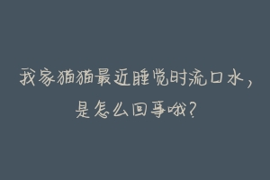 我家猫猫最近睡觉时流口水，是怎么回事哦？