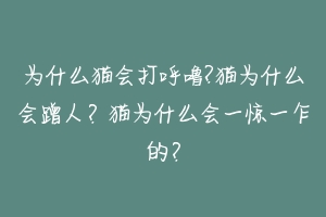 为什么猫会打呼噜?猫为什么会蹭人？猫为什么会一惊一乍的？