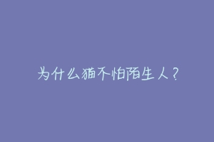 为什么猫不怕陌生人？