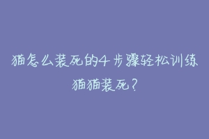 猫怎么装死的4步骤轻松训练猫猫装死？