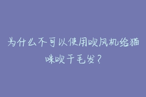 为什么不可以使用吹风机给猫咪吹干毛发？