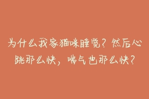 为什么我家猫咪睡觉？然后心跳那么快，喘气也那么快？