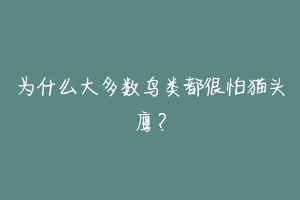 为什么大多数鸟类都很怕猫头鹰？