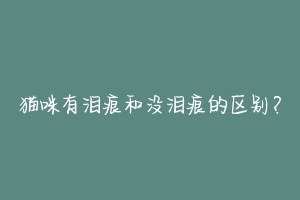 猫咪有泪痕和没泪痕的区别？