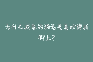 为什么我家的猫老是喜欢蹲我脚上？