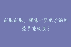 求助求助，猫咪一只爪子的肉垫严重脱皮？