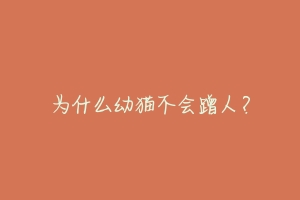 为什么幼猫不会蹭人？