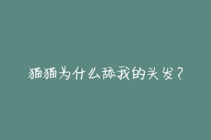 猫猫为什么舔我的头发？