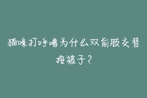 猫咪打呼噜为什么双前肢交替按被子？