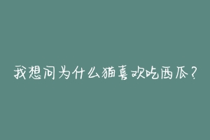 我想问为什么猫喜欢吃西瓜？