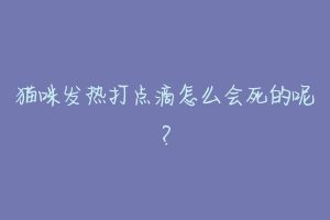 猫咪发热打点滴怎么会死的呢？