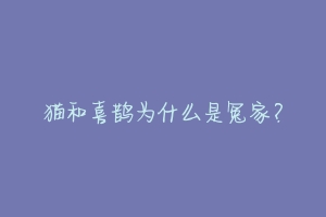 猫和喜鹊为什么是冤家？