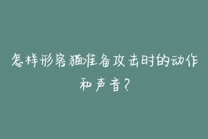 怎样形容猫准备攻击时的动作和声音？