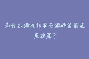 为什么猫咪非要在猫砂盆最底层拉屎？