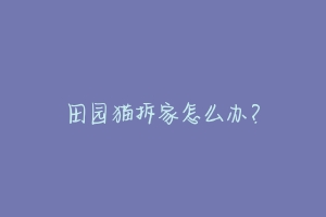 田园猫拆家怎么办？