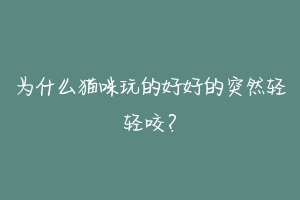 为什么猫咪玩的好好的突然轻轻咬？