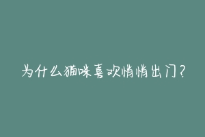 为什么猫咪喜欢悄悄出门？