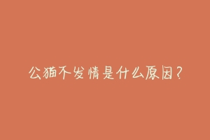 公猫不发情是什么原因？