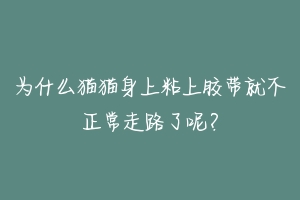 为什么猫猫身上粘上胶带就不正常走路了呢？