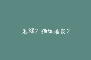 怎解？猫舔墙皮？