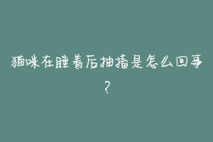 猫咪在睡着后抽搐是怎么回事？