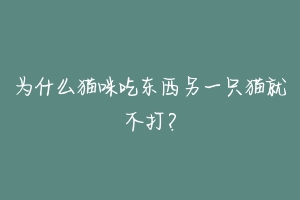 为什么猫咪吃东西另一只猫就不打？