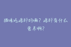 猫咪吃鸡肝好嘛？鸡肝有什么营养啊？