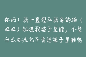 你好！我一直想和我家的猫（妞妞）钻进我被子里睡，不管什么办法它不肯进被子里睡觉？