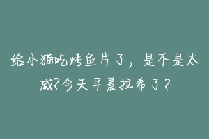 给小猫吃烤鱼片了，是不是太咸?今天早晨拉希了？