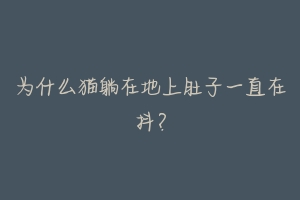 为什么猫躺在地上肚子一直在抖？