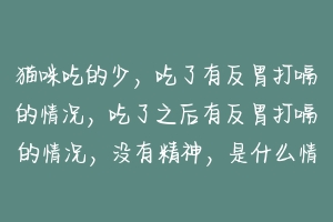 猫咪吃的少，吃了有反胃打嗝的情况，吃了之后有反胃打嗝的情况，没有精神，是什么情况？