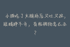 小猫吃了火腿肠后又吐又拉，眼睛睁不开，有粘稠物怎么办？