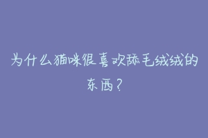 为什么猫咪很喜欢舔毛绒绒的东西？