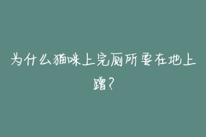 为什么猫咪上完厕所要在地上蹭？