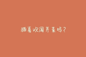 猫喜欢闻芹菜吗？