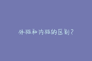 外驱和内驱的区别？