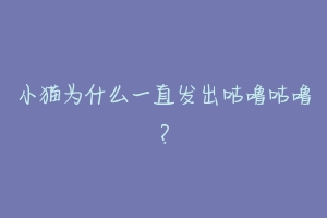 小猫为什么一直发出咕噜咕噜？