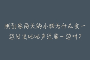 刚到家两天的小猫为什么会一边发出咕咕声还要一边叫？