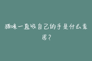 猫咪一直吸自己的手是什么意思？