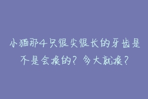 小猫那4只很尖很长的牙齿是不是会换的？多大就换？