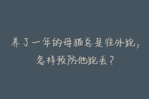 养了一年的母猫总是往外跑，怎样预防他跑丢？