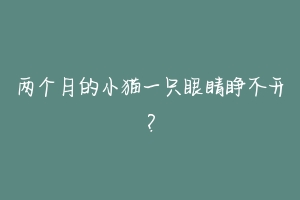 两个月的小猫一只眼睛睁不开？