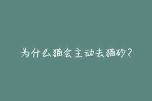 为什么猫会主动去猫砂？