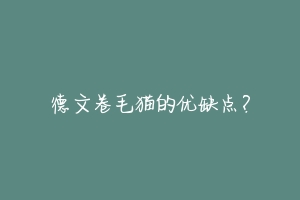 德文卷毛猫的优缺点？